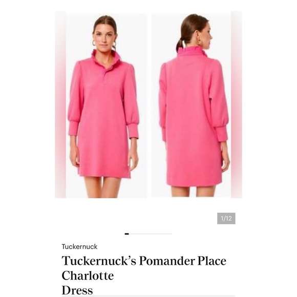 Pomander Place Dresses & Skirts - Tuckernuck Pomander Place Charlotte Pink Ruffle Neck Sweatshirt Mini Dress M